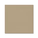Texture Puffed Beige – 9110T