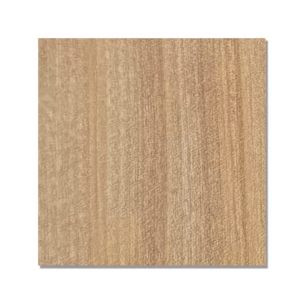Yellow Birch – 9267