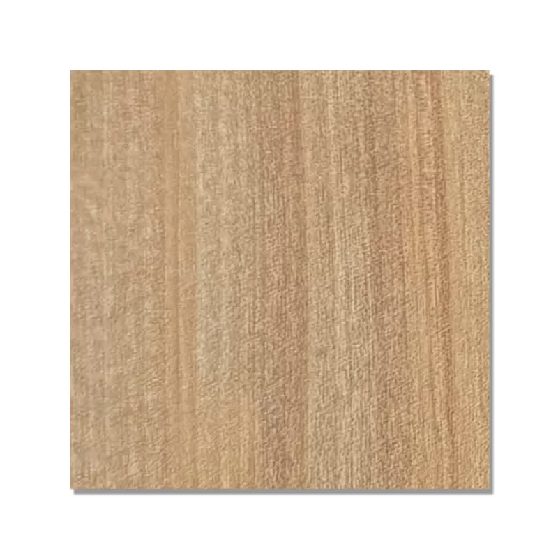 Yellow Birch – 9267