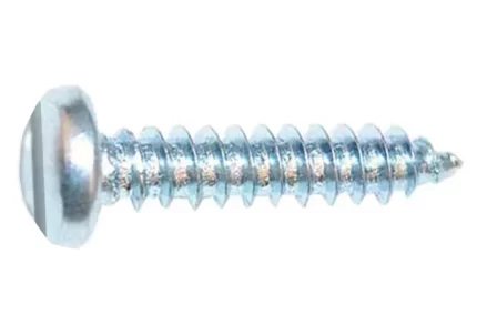 Round Slotted Head Screws Silver